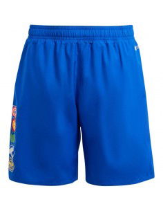 adidas x Marvel's Avengers Jr swim shorts IT8616