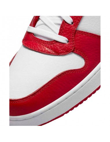 Nike Ebernon Low Prem M AQ1774101 shoes Nike Ebernon Low Prem M AQ1774101 shoes