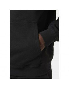 Helly Hansen Core Graphic Sweat Hoodie M 53924 993 2