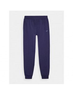 Trousers 4F M 4FWMM00TTROM094331S