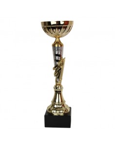 Tryumf Cup W1991