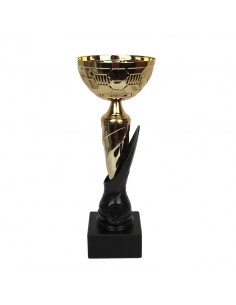 Tryumf Cup W1898