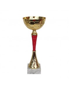 Tryumf Cup W1924