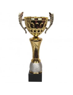 Tryumf Cup W1888