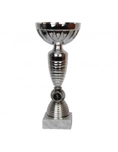 Triumph Cup W1999