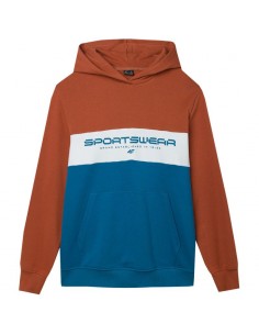 Sweatshirt 4F M...