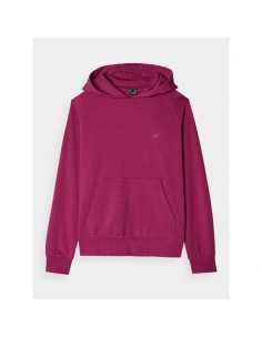Sweatshirt 4F W...