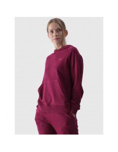 Sweatshirt 4F W... 2