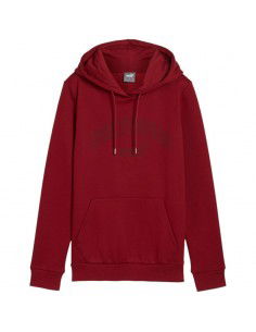 Puma Ess Logo LAB Hoodie FL...