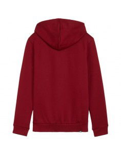 Puma Ess Logo LAB Hoodie FL... 2
