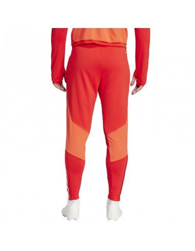 adidas FC Bayern Training Panty M IQ0605 adidas FC Bayern Training Panty M IQ0605