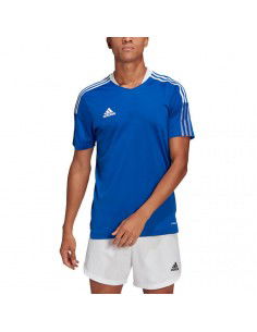 Tshirt adidas TIRO 21 TR... 2