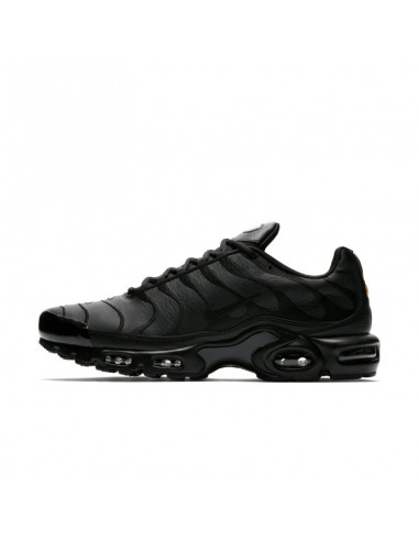 Nike Air Max Plus M AJ2029001 shoes Nike Air Max Plus M AJ2029001 shoes