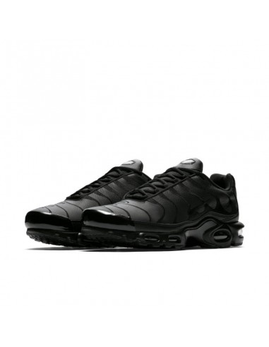 Nike Air Max Plus M AJ2029001 shoes Nike Air Max Plus M AJ2029001 shoes