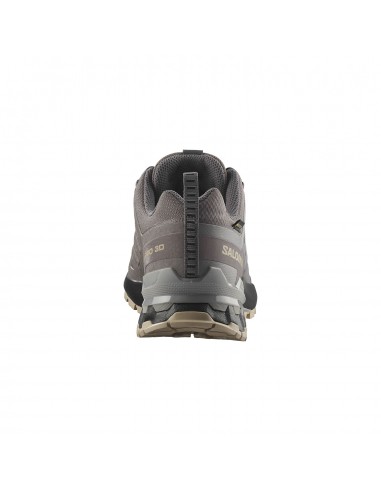 Salomon XA Pro 3D v9 GTX W L47744500 Salomon XA Pro 3D v9 GTX W L47744500