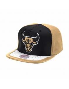 Mitchell Ness NBA Day One...