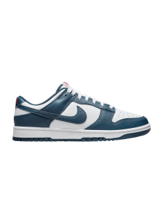Nike Dunk Low Valerian Blue DD1391400 MBS
