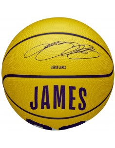 Wilson NBA Player Icon...