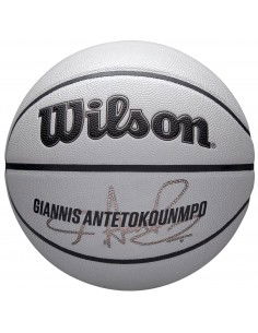 Wilson NBA Player Icon Uv...