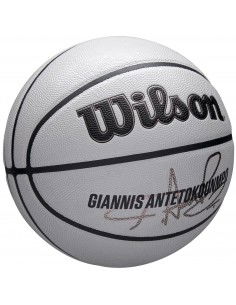 Wilson NBA Player Icon Uv... 2