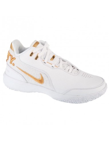 Nike LeBron NXXT Gen AMPD FJ1566103 Nike LeBron NXXT Gen AMPD FJ1566103