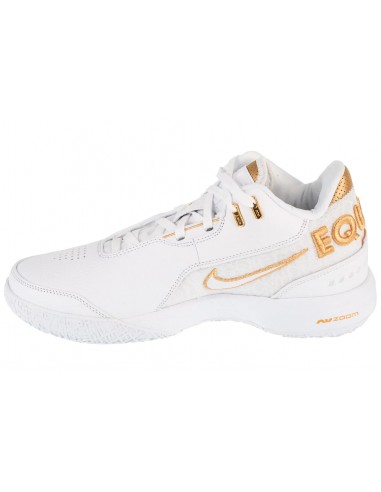Nike LeBron NXXT Gen AMPD FJ1566103 Nike LeBron NXXT Gen AMPD FJ1566103