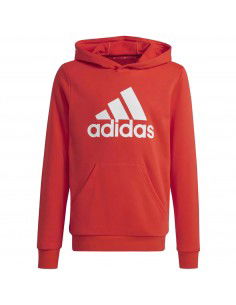 adidas Big Logo Jr Hoodie...