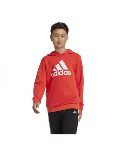 adidas Big Logo Jr Hoodie IX9531 adidas Big Logo Jr Hoodie IX9531