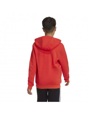 adidas Big Logo Jr Hoodie IX9531 adidas Big Logo Jr Hoodie IX9531