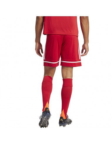Shorts adidas SQUADRA 25 Short JN5466 Shorts adidas SQUADRA 25 Short JN5466