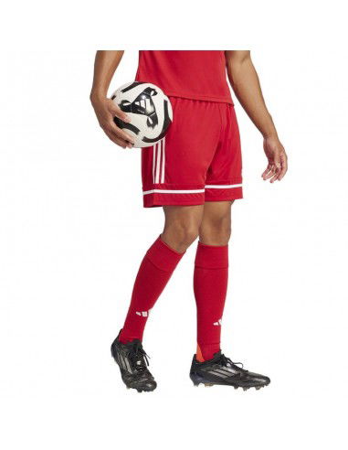 Shorts adidas SQUADRA 25 Short JN5466 Shorts adidas SQUADRA 25 Short JN5466