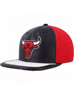 Mitchell Ness Chicago Bulls...