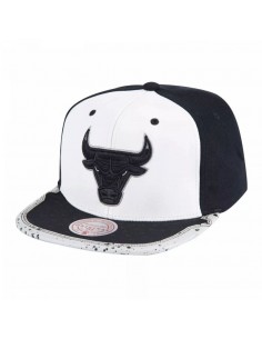 Mitchell Ness Chicago Bulls...