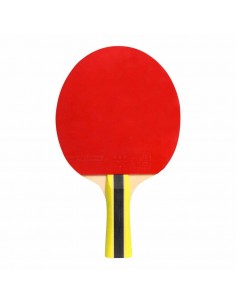 Cornilleau Sport 434000...