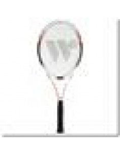 WISH WS4001 badminton net 2