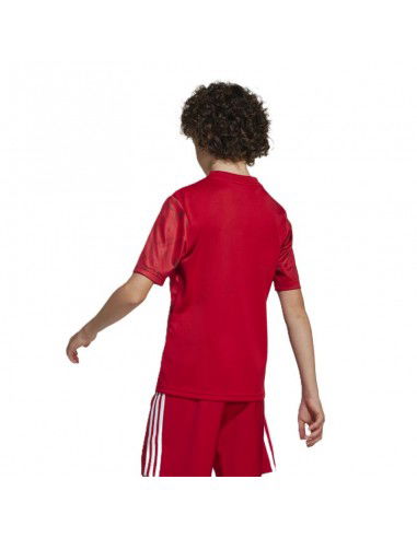 adidas Team Icon 25 Jr Tshirt JM8362 adidas Team Icon 25 Jr Tshirt JM8362