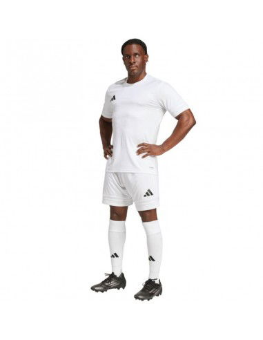 Adidas Squadra 25 M Tshirt JG5834 Adidas Squadra 25 M Tshirt JG5834
