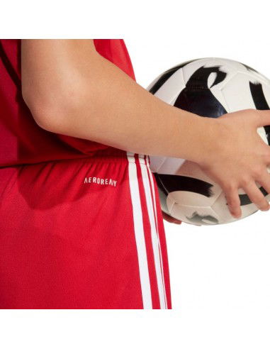 Shorts adidas Squadra 25 Jr JN5456 Shorts adidas Squadra 25 Jr JN5456