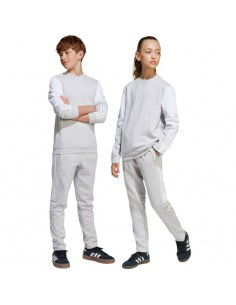 adidas Squadra 25 Sweat Jr... 2