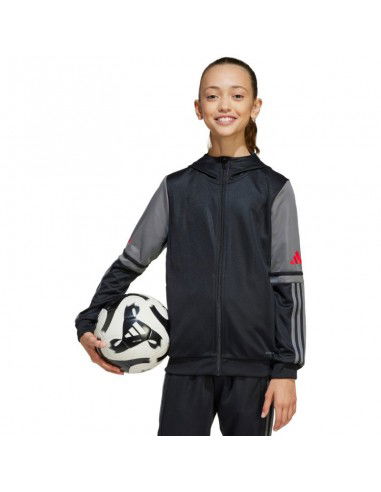 Adidas Squadra 25 Hoodie Jr JD6087... Adidas Squadra 25 Hoodie Jr JD6087...