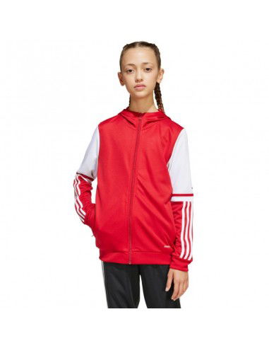 Adidas Squadra 25 Hoodie Jr JD4801... Adidas Squadra 25 Hoodie Jr JD4801...