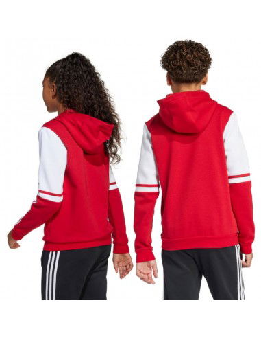 Adidas Squadra 25 Sweat Hoody Jr JD4805 Adidas Squadra 25 Sweat Hoody Jr JD4805