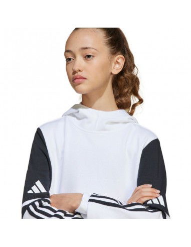 Adidas Squadra 25 Sweat Hoody Jr JD4807 Adidas Squadra 25 Sweat Hoody Jr JD4807