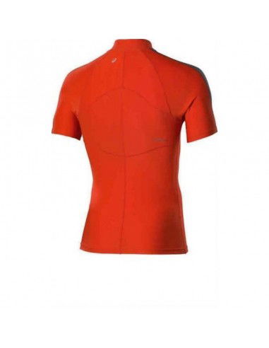 Asics 12 Zip Top FW12 M 4210160540 Asics 12 Zip Top FW12 M 4210160540