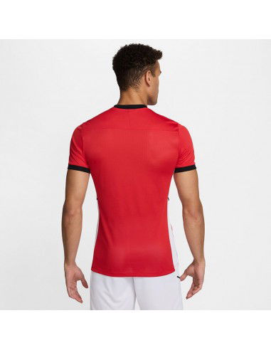 Nike Academy 25 SS Top FZ9754-657 Nike Academy 25 SS Top FZ9754-657