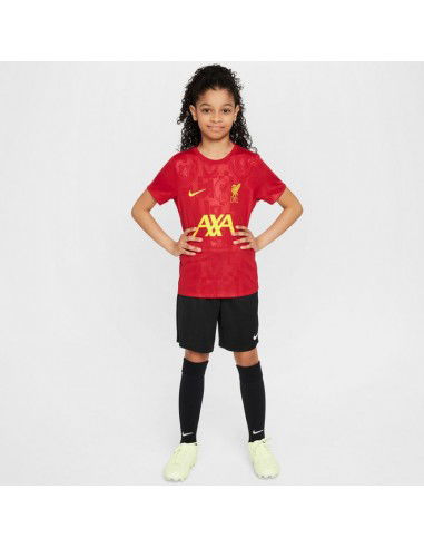 Nike Liverpool FC Academy Pro SS Top... Nike Liverpool FC Academy Pro SS Top...