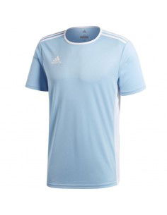 Adidas Entrada 18 Jr CD8414... 2
