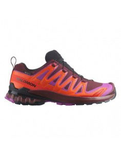 Salomon XA Pro 3D v9 GTX W...