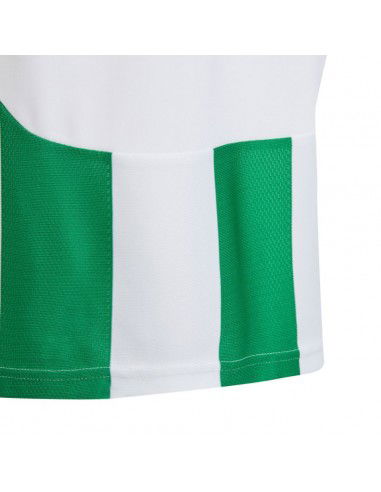 Adidas Striped 24 Jr Tshirt IW2138 Adidas Striped 24 Jr Tshirt IW2138