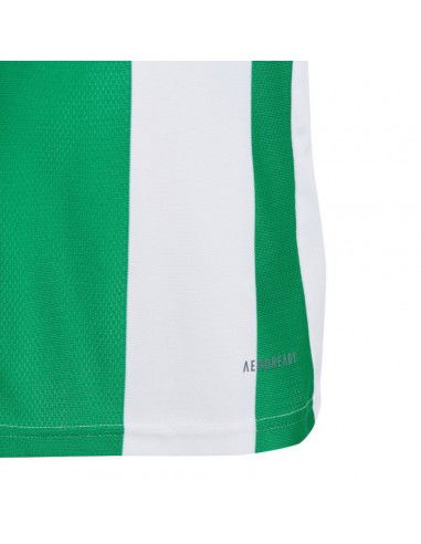Adidas Striped 24 Jr Tshirt IW2138 Adidas Striped 24 Jr Tshirt IW2138